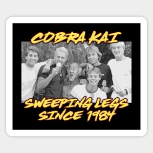 Cobra Kai Vintage Team (Miyagi)(1984) Sticker